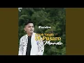 Download Lagu Pacah Tangih Di Pusaro Mande