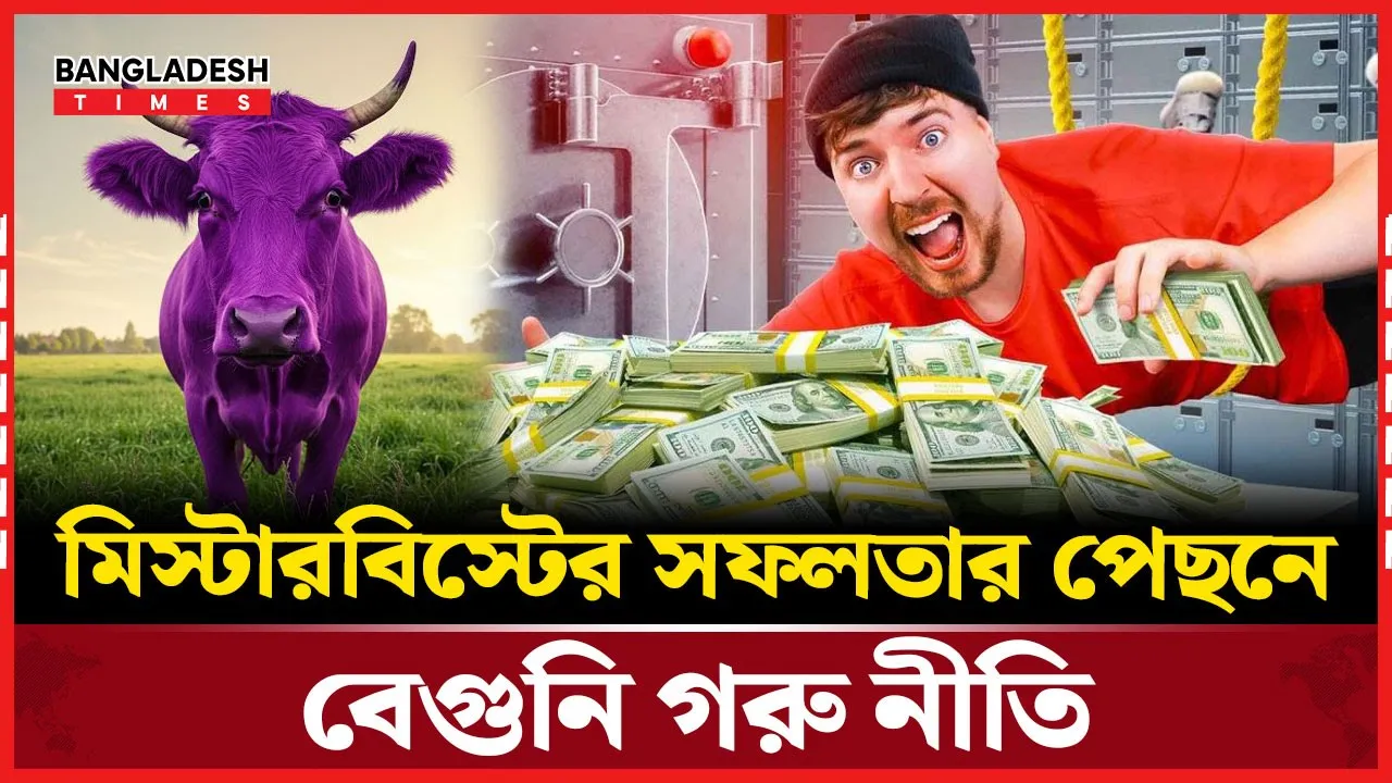 যে নীতি অনুসরণ করে সফলতা পেল মিস্টার বিস্ট