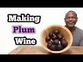 Making Plum Wine 1 Gallon