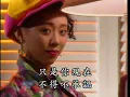 伤痕 Shang Hen (優必勝 U-Best Production - DVD版)