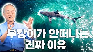귀여운 부캉이? 알면 무서운 이야기, 생태학자의 시선으로 본 부캉이 | 최재천의 아마존
