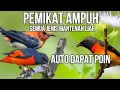 Download Lagu suara pikat semua jenis burung mantenan ribut