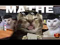 Download Lagu Das große Problem mit Mathe