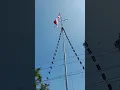 Download Lagu Penaikan Bendera Khas TNI AL