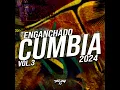 Enganchado de Cumbia 2024 (Vol. 3) - DeeJay FJ