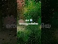 മഴ ഓർമ്മകൾ #shorts #short #yesudas #shortsvideo