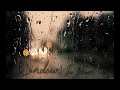 window-The Album Leaf