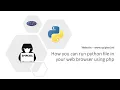 Run Python Code in Web Browser with Shell - exec Download File from spipixel ml without py-script