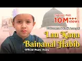 Download Lagu Muhammad Hadi Assegaf - Lau Kana Bainanal Habib (Official Music Video)