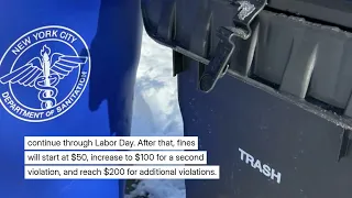 NYC fines imposed for not using trash bins