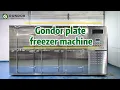 Heavy-Duty Commercial Blast Freezer Chiller Global Cold Chain Bestseller