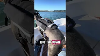 #dream #fyp #pets #doberman #boat