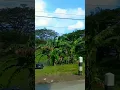 Download Lagu jalan indah lintas selatan serayu