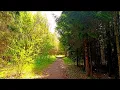 Download Lagu 🌿Kalmerend geluid van de natuur🌿 Het zingen van bosvogels om angst te verlichten