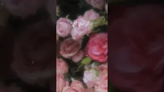 ما تيجي اعدي عليكي Tul8te بيسالوني عليه مش بيظهر ليه بدون موسيقى 