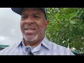 Let s Explore the Redlands Flea Market in South Dade Florida