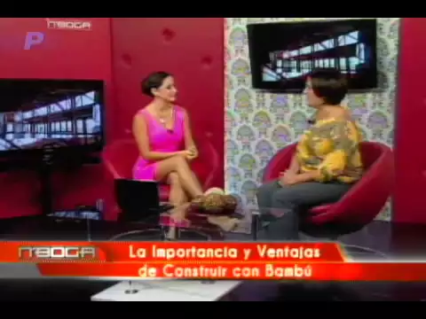 La importancia y ventajas de construir con bambú