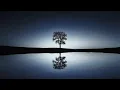 Lagu Dreaming Tree Smooth Piano Music For Studying And Concentration