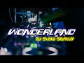 Download Lagu DJ WONDERLAND SLOW REMIX KANE BUAT SANTUY