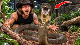     My King Cobra’s Enclosure Got a MASSIVE Makeover!