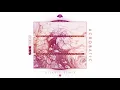 SIDEPIECE - Acrobatic (Diskull Remix) | Insomniac Records