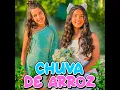 Chuva de Arroz