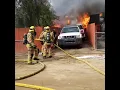 Download Lagu Man saves dog from fire.