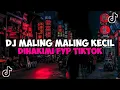 DJ MALING MALING KECIL DIHAKIMI MALING MALING BESAR DILINDUNGI JEDAG JEDUG MENGKANE VIRAL TIKTOK