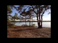 HARWICH CAPE COD