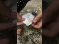 DIY easiest paper squishy no tape no scissor no colors