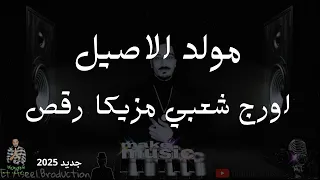 مولد الاصيل مزيكا اورج شعبي رقص دي جي افراح 2025 جديد غاوي مزيكا Amr El Aseel 
