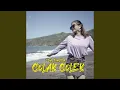 Download Lagu Colak Colek (Remix)