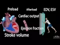 Cardiac Output Stroke volume EDV ESV Ejection Fraction