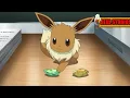 Download Lagu POKEMON MASTER JOURNEYS Chloe's eevee can't evolve by evolution stones.ENGLISH DUBBED.