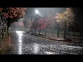 Download Lagu 한적한 외곽도로에 내리는 부드러운 빗소리, 불면증 극복에 딱 맞는 백색소음