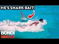 SHARK 5 Times Swimmers Had A Brush With De th