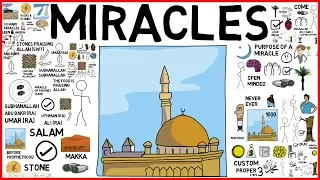 mind blowing miracles of prophet pbuh dr yasir qadhi animated