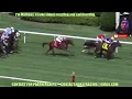 Hamilton s Way wins at Belmont At The Big May 26 2024 RESULTS