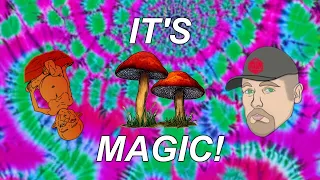 The Treasure Trove Enchanted Mushrooms D D 5e