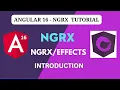 Introduction Angular 16 - NGRX Tutorial