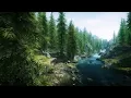 🌿 Skyrim Forest Ambience – Jeremy Soule – Atmospheres (4K No Ads Relax Music Live Stream 8 Hours)