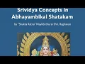 Lagu Srividya Tattvam as told by Sri Abhayambika Sadakam | Mayiladuthurai Raghavan