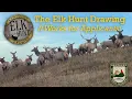 KY Elk Hunt Drawing - It Works for You