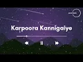 Download Lagu Karpoora Kannigaiye(lyrics)song | Azhagiya Tamil Magan   | A.R. Rahman | vijay | Hariharan