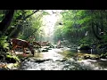 Download Lagu Suara Alam Sungai \u0026 Kicauan Burung di Hutan | Musik Relaksasi \u0026 Meditasi Alam | ASMR
