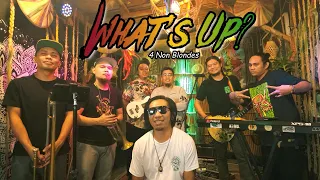 what s up 4 non blondes kuerdas reggae version