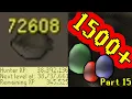 Loot from 1500 birds eggs - Part 15