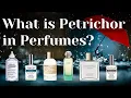 Lagu What Is Petrichor In Perfumes? Green Earthy After Rain Fragrances Geosmin Perfume Science Collection