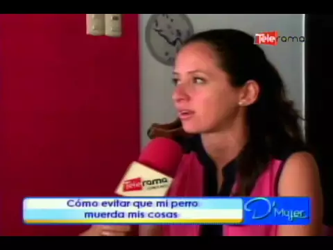 Cómo evitar que mi perro muerda mis cosas