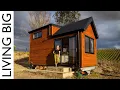 Download Lagu Young Doctor's Idyllic Tiny House In Vineyard